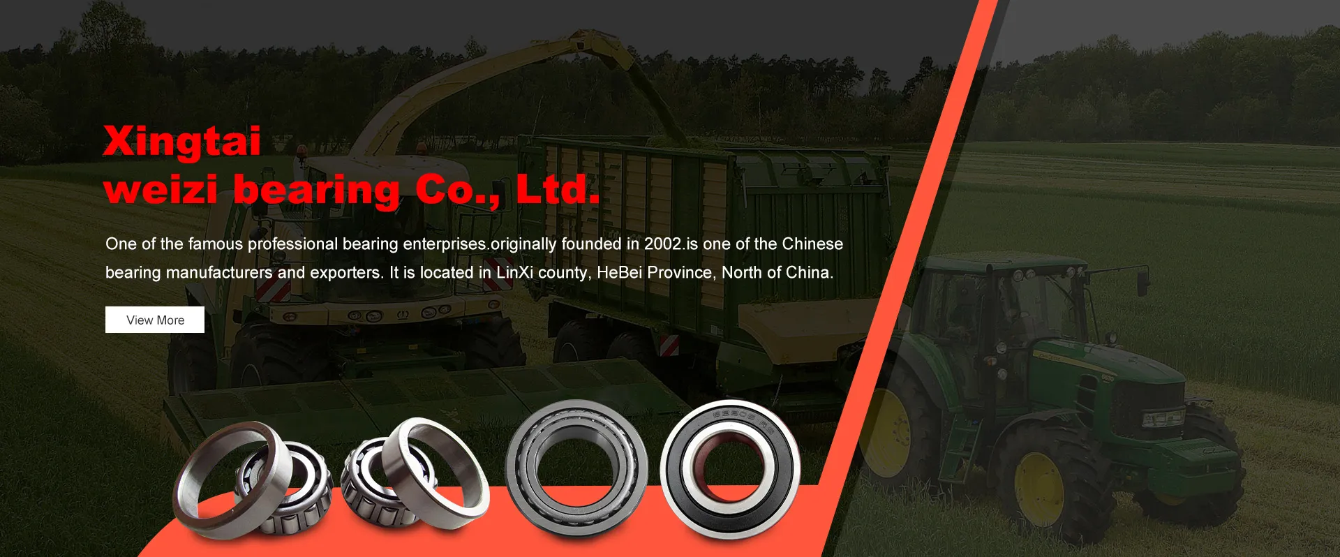 21319 bearing